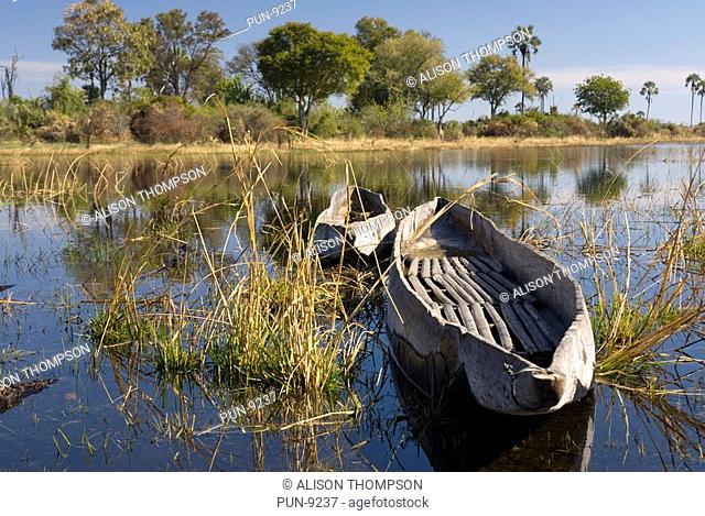 A traditional Mokoro canoe moored on the Okavango Delta, Botswana A trip by mokoro is an essential part of the traveller's adventure Introduced by the Bayei...