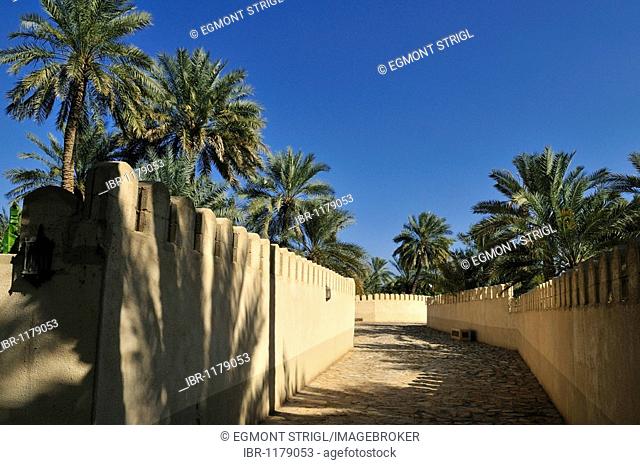 Walled alley in the palm garden of Mahadah oasis near Buraimi, Hajar al Gharbi Mountains, Al Dhahirah Region, Sultanate of Oman, Arabia, Middle East