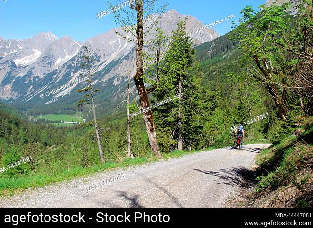Mountain bike rider, mountain biker, e-biker on the way to Karwendelhaus, Scharnitz, Tyrol, Austria