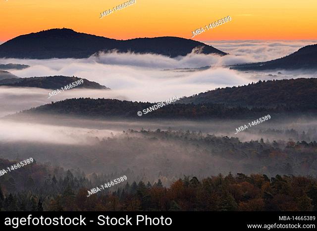 Morning red over the Palatinate Forest, fog lies in the valleys, autumn atmosphere in the Palatinate Forest Nature Park, Palatinate Forest-North Vosges...