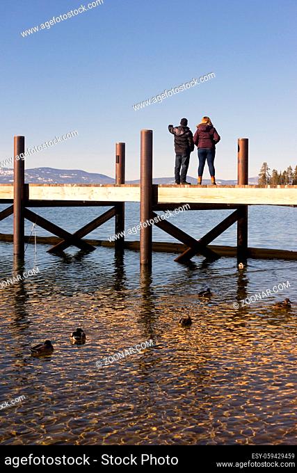 Ducks and People enjoy Lake Tahoe winter day