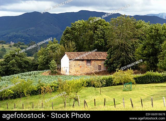 Scenic view of valley in Asturias with traditional farm building, fruit trees and vegetable garden. La Goleta, Pilona, Spain