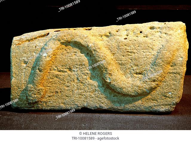 Abu Dhabi UAE Al Ain Rock Carving Of Serpent From Umm An Naar Island 2600-2300bc