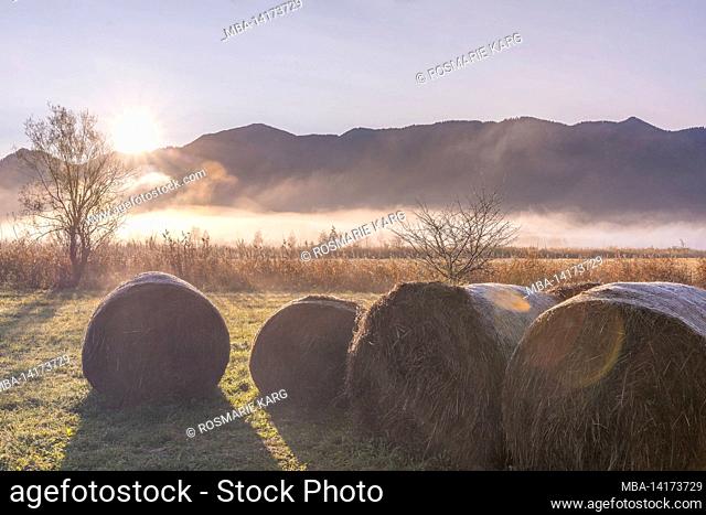 Bales of hay at sunrise in the Murnauer Moos near Ohlstadt, Murnau, Bavaria, Germany