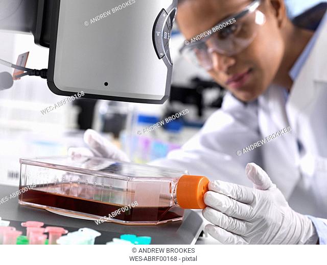 Biomedical Research, female scientist viewing stem cells developing in a culture jar during an experiment in the laboratory
