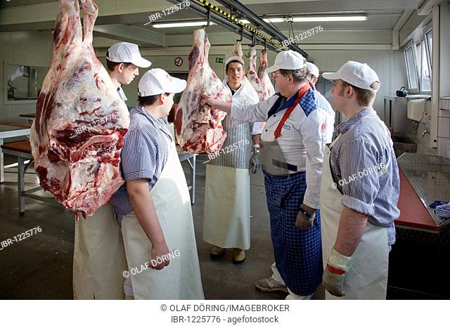 Specialized lecturer and teacher explaining store ready carving of beef hindquarters, master school, apprenticeship training position at Frischezentrum e