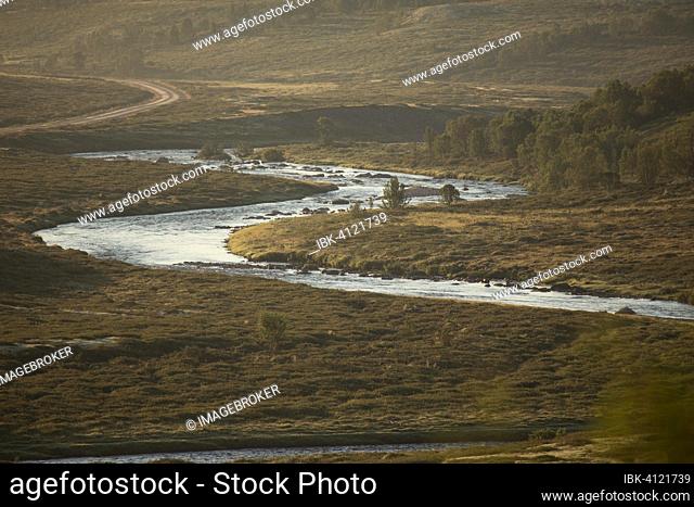 Grimse River in early morning mist, Grimsdalen, Norway, Europe