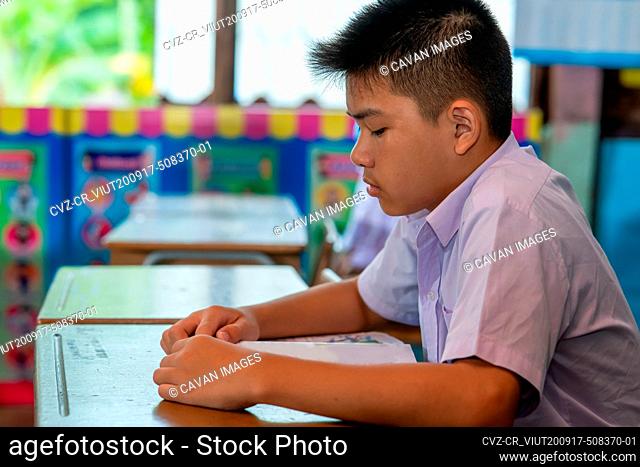 Elementary school kids sitting at desks in classroom, education, l