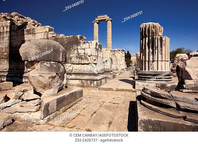 Temple of Apollo at the Archeological area of Didim, Didyma, Aydin Province, Turkey, Europe