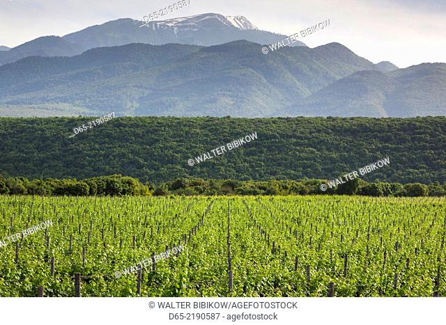 Greece, Central Macedonia Region, Dion,