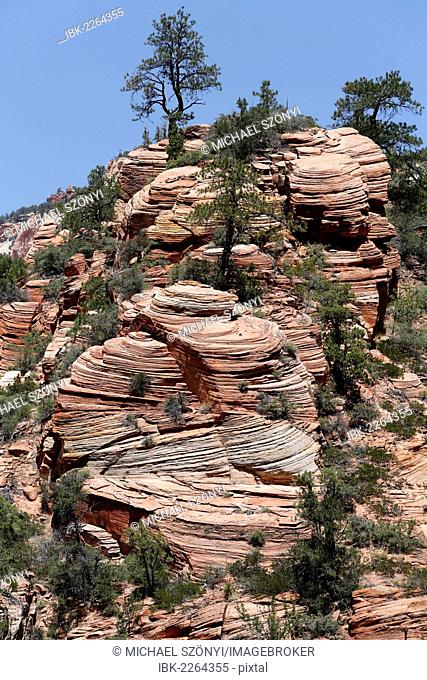 Cross-stratification in sandstone of the Navajo Formation, Zion National Park, Utah, USA
