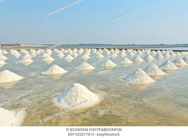 Sea salt piles in evaporation pond, Thailand