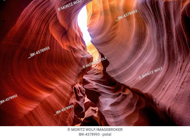 Colourful sandstone formation, incident light, Lower Antelope Canyon, Slot Canyon, Page, Arizona, USA