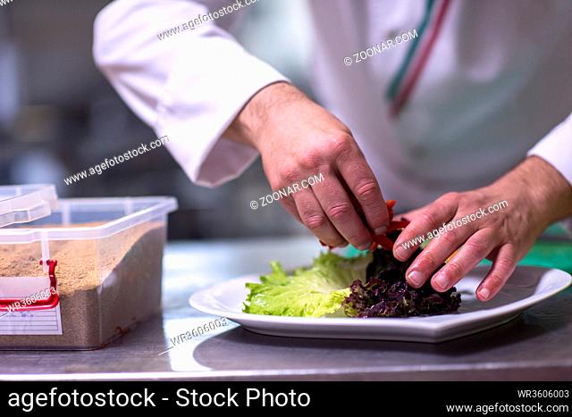 chef serving vegetable salad on plate in restaurant kitchen