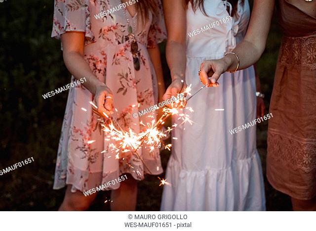Friends having a picnic in a vinyard, burning sparklers