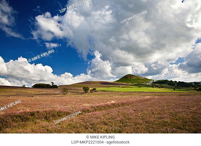England, North Yorkshire, Hawnby. Open moorland and Hawnby Hill in the North York Moors National Park
