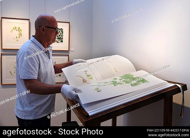 PRODUCTION - 20 October 2022, South Africa, Gansbaai: German Michael Lutzeyer shows art illustrations of rare, endangered or endemic plant species