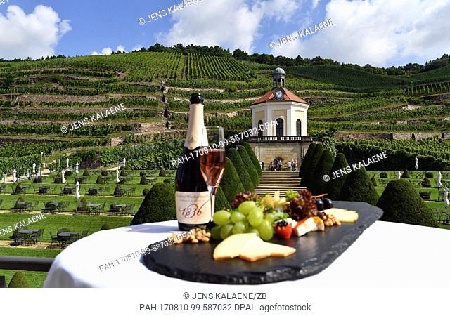 A bottle of sparking wine, a glass with sparkling wine and a cheese platter pictured at the Schloss Wackerbarth vineyards in front of the Belvedere chateau in...