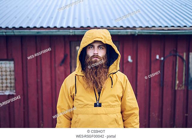 Sweden, Lapland, portrait of serious man with full beard wearing yellow windbreaker