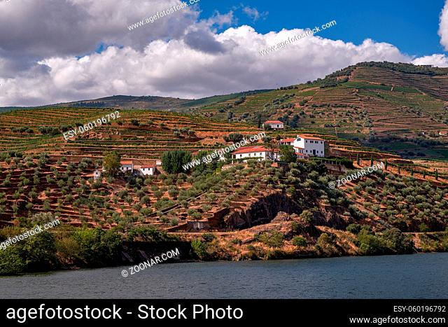 View from the Cruise Boat in Douro River Valley - Port Wine Region with Farms Terraces Carved in Mountains, Portugal