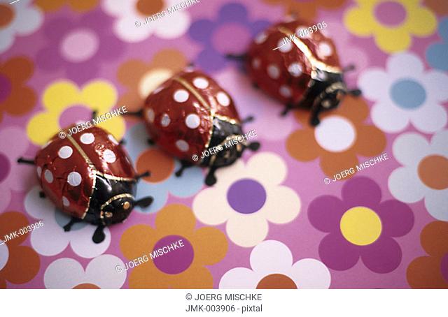 Chocolate Beetles, lady birds, on a coloured ground