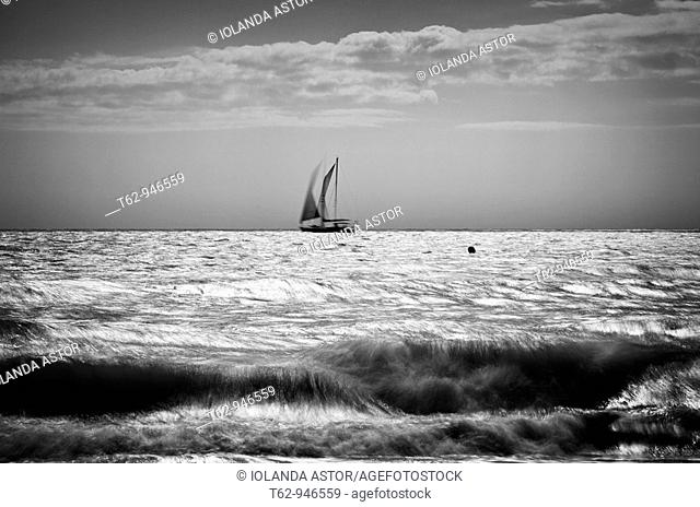Velero navegando en el mar con fuerte oleaje  Blanco y negro  Movement