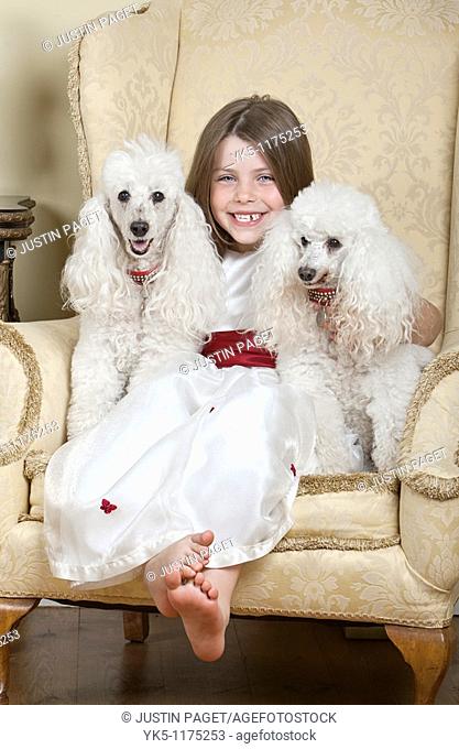 Shot of a Happy Blonde Girl in Large Armchair with Two White French Miniature Poodles