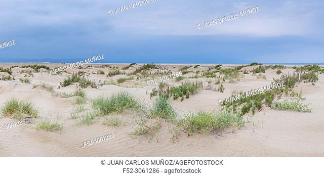 El Fangar peninsula, L'Alfacada Lake, The Ebre Delta Natural Park, Terres de l'Ebre, Tarragona, Catalonia, Spain