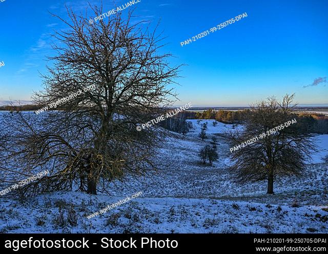 30 January 2021, Brandenburg, Mallnow: A little snow lies on the slopes at the edge of the Oderbruch, a region in the east of the state of Brandenburg