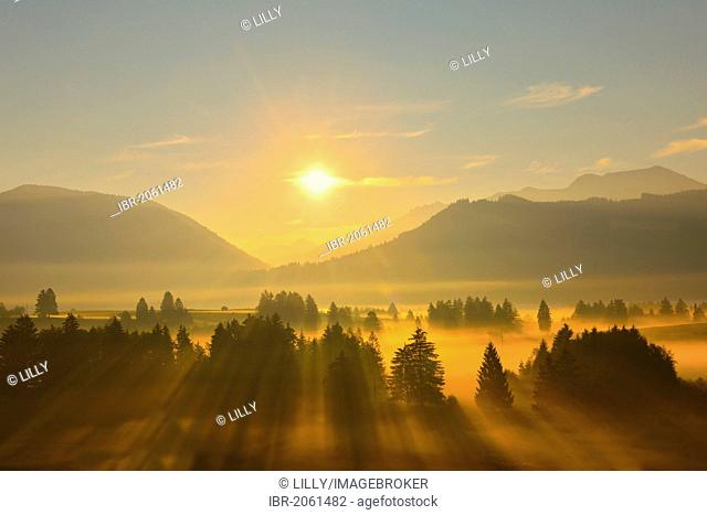 Sunrise near Buching, Ostallgaeu, Allgaeu, Bavaria, Germany, Europe