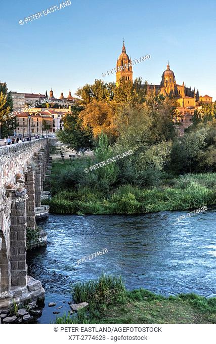 Salamanca Cathedral seen from across the River Tormes and the Puente Romano, Salamanca, Spain