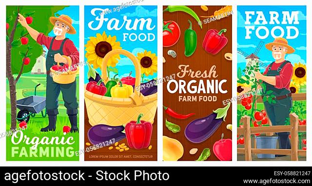 Farm, farming and gardening agriculture, vector harvest vegetables and fruits. Farmer gathering harvest at farmland field into wicker basket