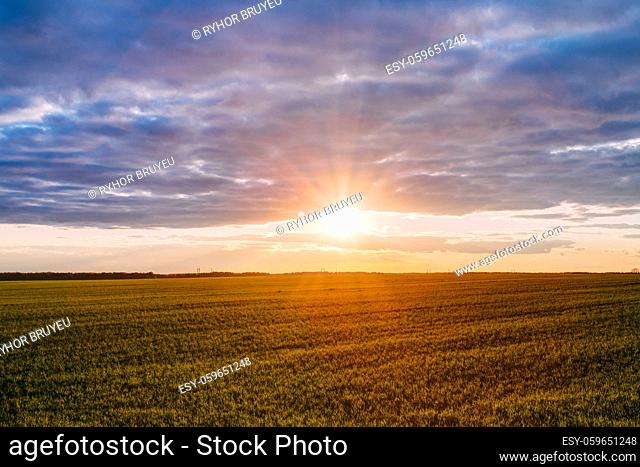 Natural Sunset Sunrise Over Field Or Meadow. Bright Dramatic Sky Over Ground. Countryside Landscape Under Scenic Colorful Sky At Sunset Dawn Sunrise
