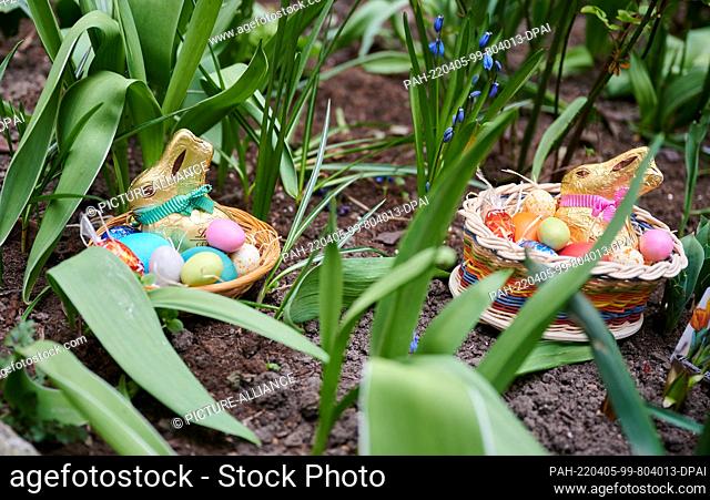 PRODUCTION - 01 April 2022, Berlin: ILLUSTRATION - Two Easter nests with chocolate bunnies, colored eggs and chocolate eggs are lying in a flower bed