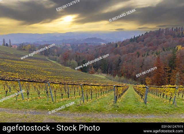 Highest vineyards in Austria near the village Kitzeck im Sausal, Styria, Austria
