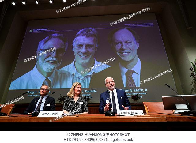 (191007) -- STOCKHOLM, Oct. 7, 2019 () -- Photo taken on Oct. 7, 2019 shows the announcement of the 2019 Nobel Prize in Physiology or Medicine at the Karolinska...
