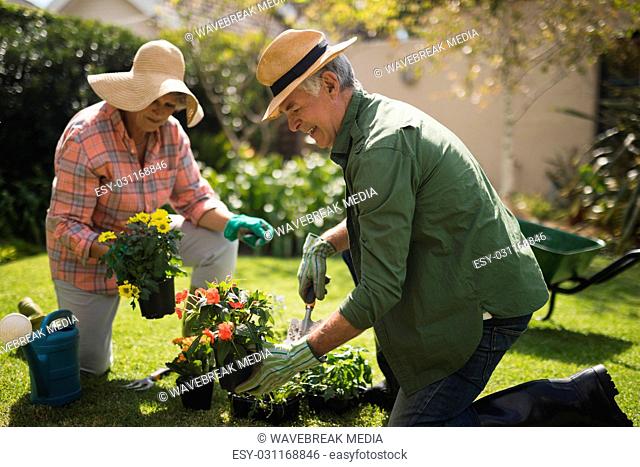 Happy senior couple holding plants in yard