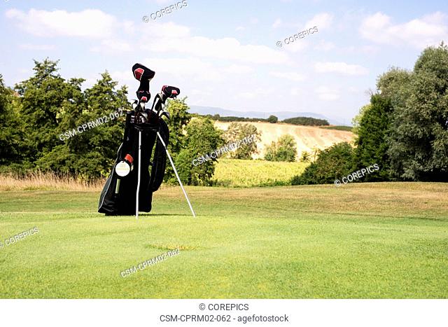 Golf bag with various clubs standing on the fairway of a lush golf course