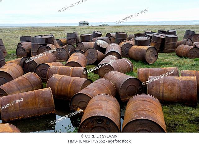 Russia, Chukotka autonomous district, Wrangel island, Mammoth river, old barrels of petrol abandonned by the russian army after the cold war