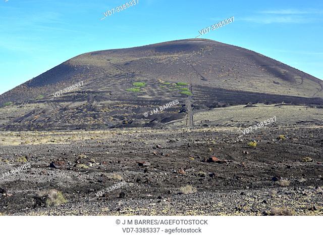 Volcan Montana Negra, Lanzarote Island, Canary Islands, Spain