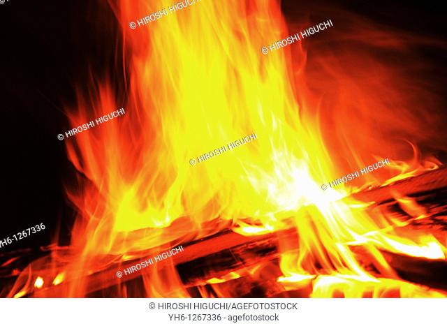 Log fire, close-up, Germany, Hessen, Ruedesheim