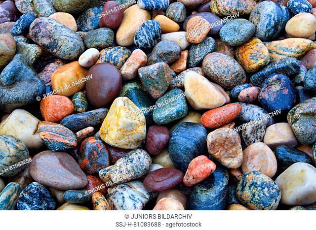 Wet, colorful stones on a beach, Scotland