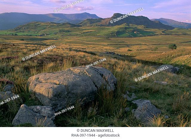 National Trust land near the Mawddach Estuary, Snowdonia National Park, Gwynedd, Wales, UK, Europe