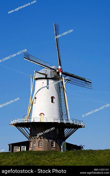 Windmill De Koe, Veere, Walcheren, Zeeland, Netherlands