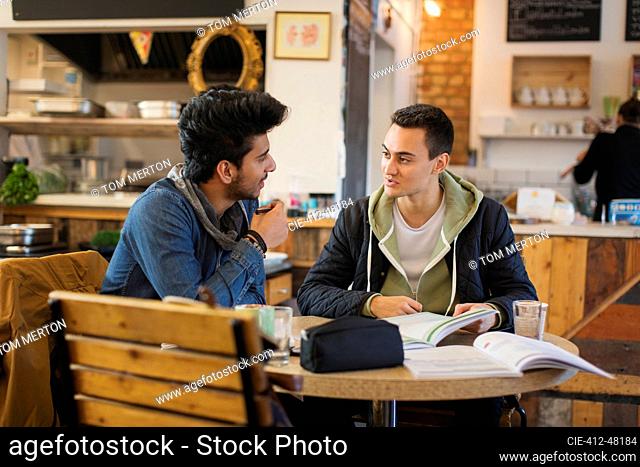 Young male college students studying and talking in cafe
