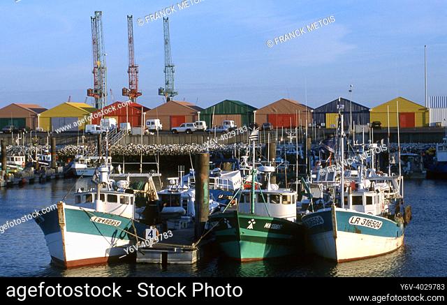 Fishing harbour at La Rochelle ( France)