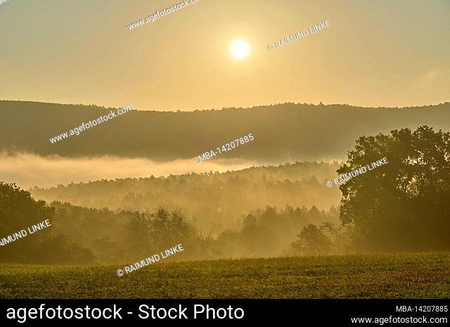 Forest, fog, autumn, sunrise, Großheubach, Spessart, Bavaria, Germany