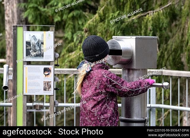 28 December 2021, Lower Saxony, Bad Harzburg: Visitor Paulina stands at an experience element on the Harz treetop path. The Harz has been struggling with its...