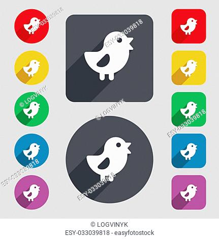 chicken, Bird icon sign. A set of 12 colored buttons and a long shadow. Flat design. illustration