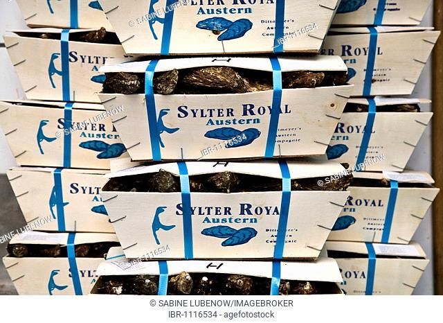 Boxed Sylter Royal oysters, Dittmeyer's Austern-Compagnie, List, Sylt Island, North Frisia, Schleswig-Holstein, Germany, Europe